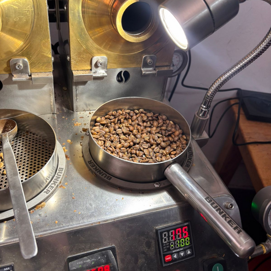 CURSO CAFÉ VERDE - TOSTADO - CUPPING