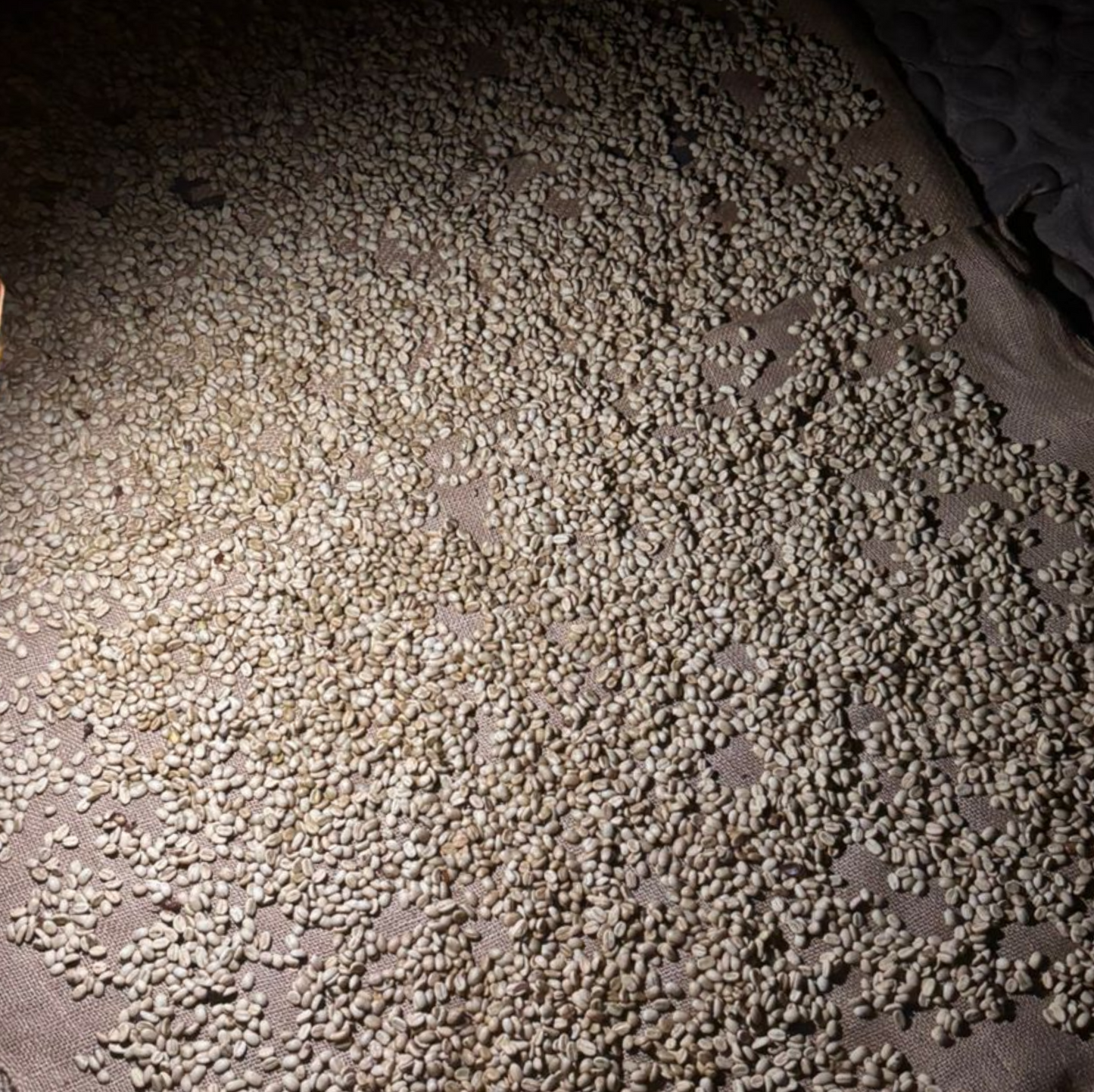 CURSO CAFÉ VERDE - TOSTADO - CUPPING